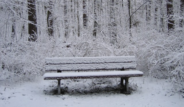 bench-in-winter-forest-1407687-1920x1440